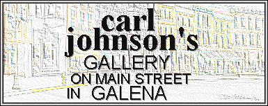 Enter Carl Johnson's Gallery